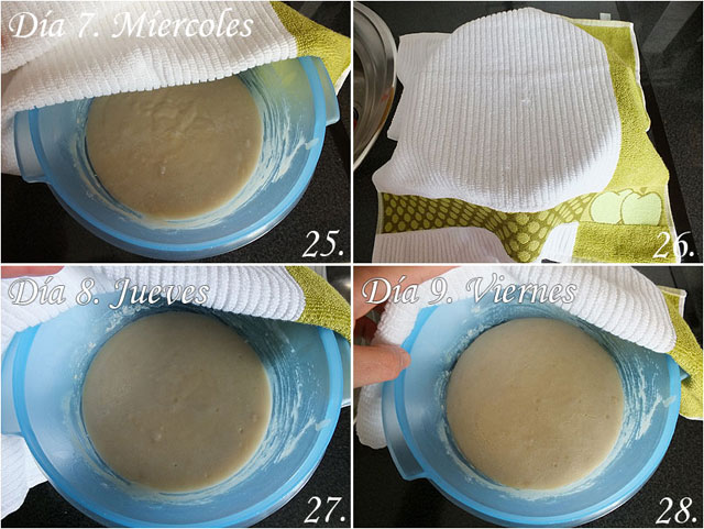 Bizcocho de las Carmelitas Descalzas o Bizcocho del Padre Pío