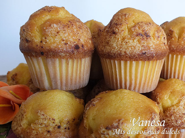 Magdalenas de calabaza