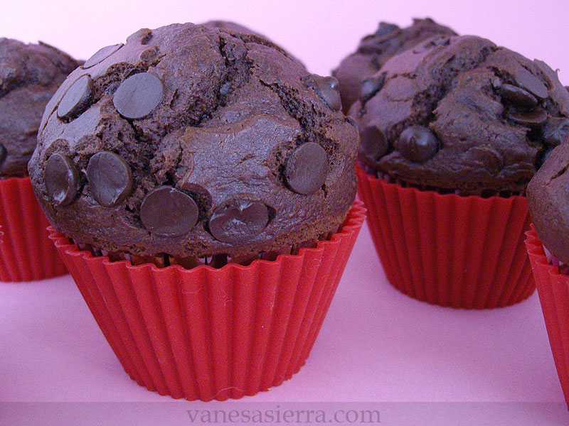 Muffins de chocolate (tipo Starbucks®)