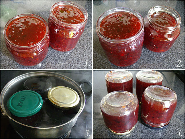 Mermelada de ciruela roja