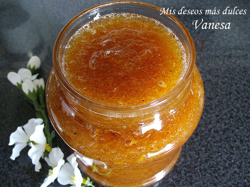 Mermelada de nectarina con pumpkin pie spice