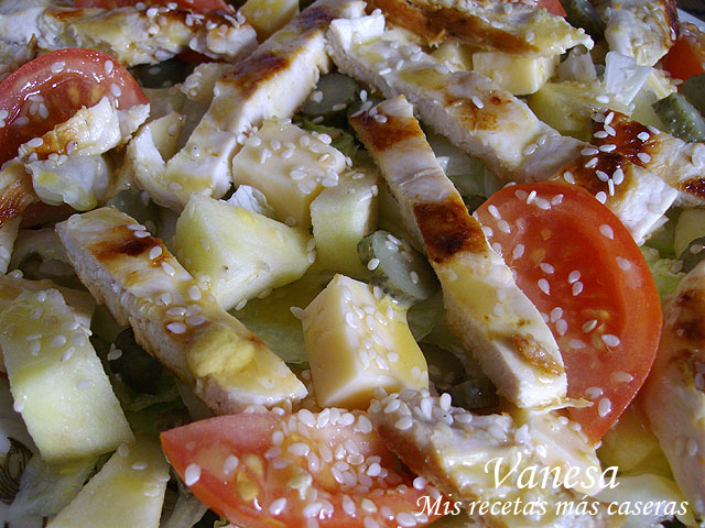 Ensalada de pollo con manzana, queso gouda, tomate y pepinillos