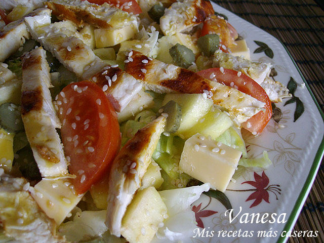 Ensalada de pollo con manzana, queso gouda, tomate y pepinillos