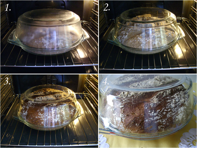 Pan de pipas de girasol en Pirex