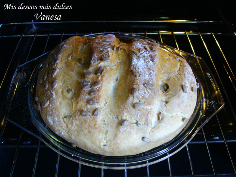 Pan de pipas en Pirex