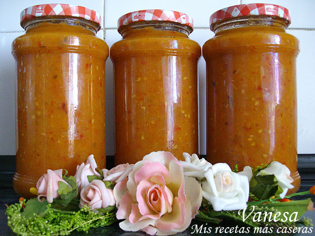 Salsa de tomate casera 2